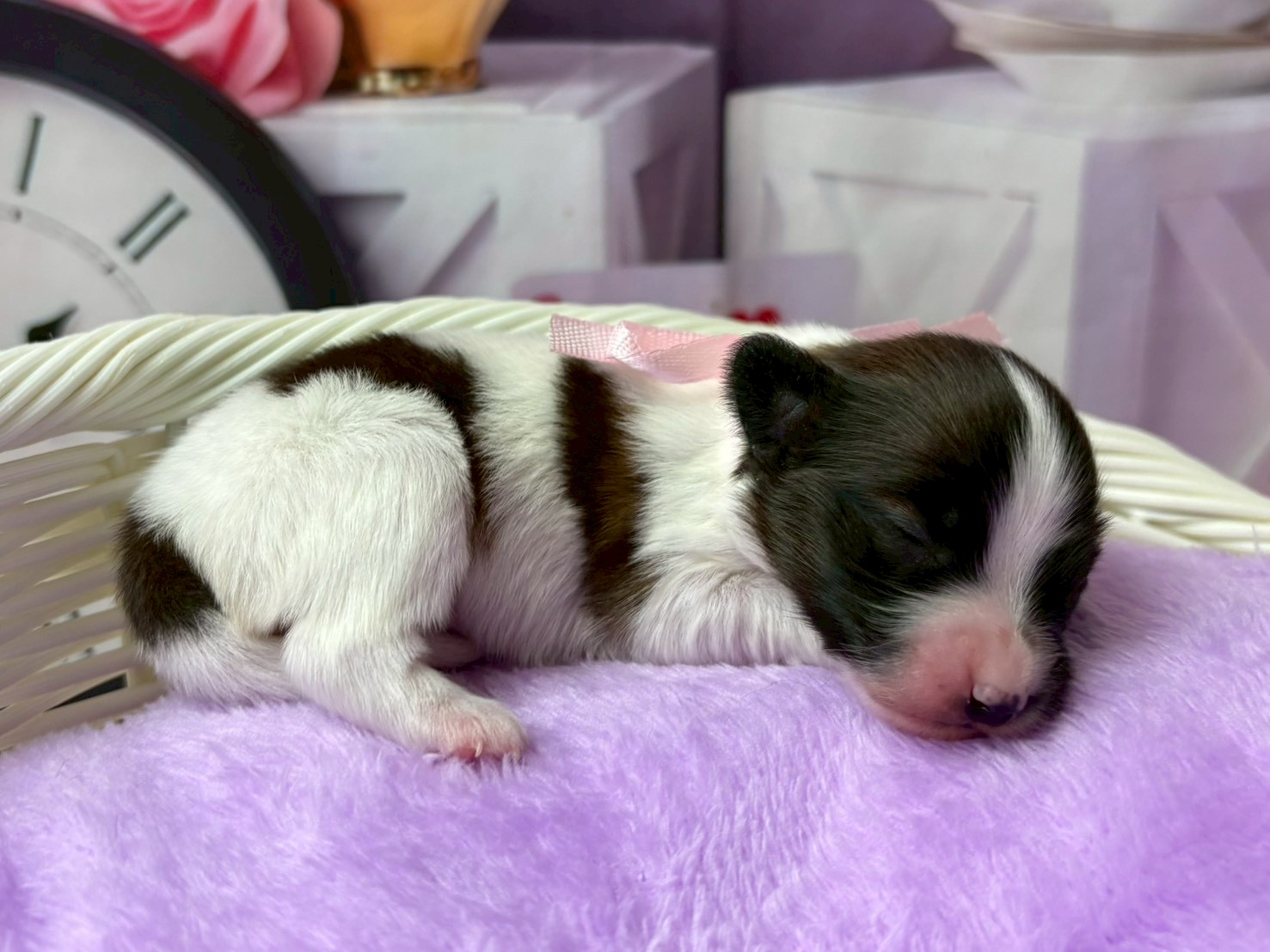 赤ちゃん写真1-2