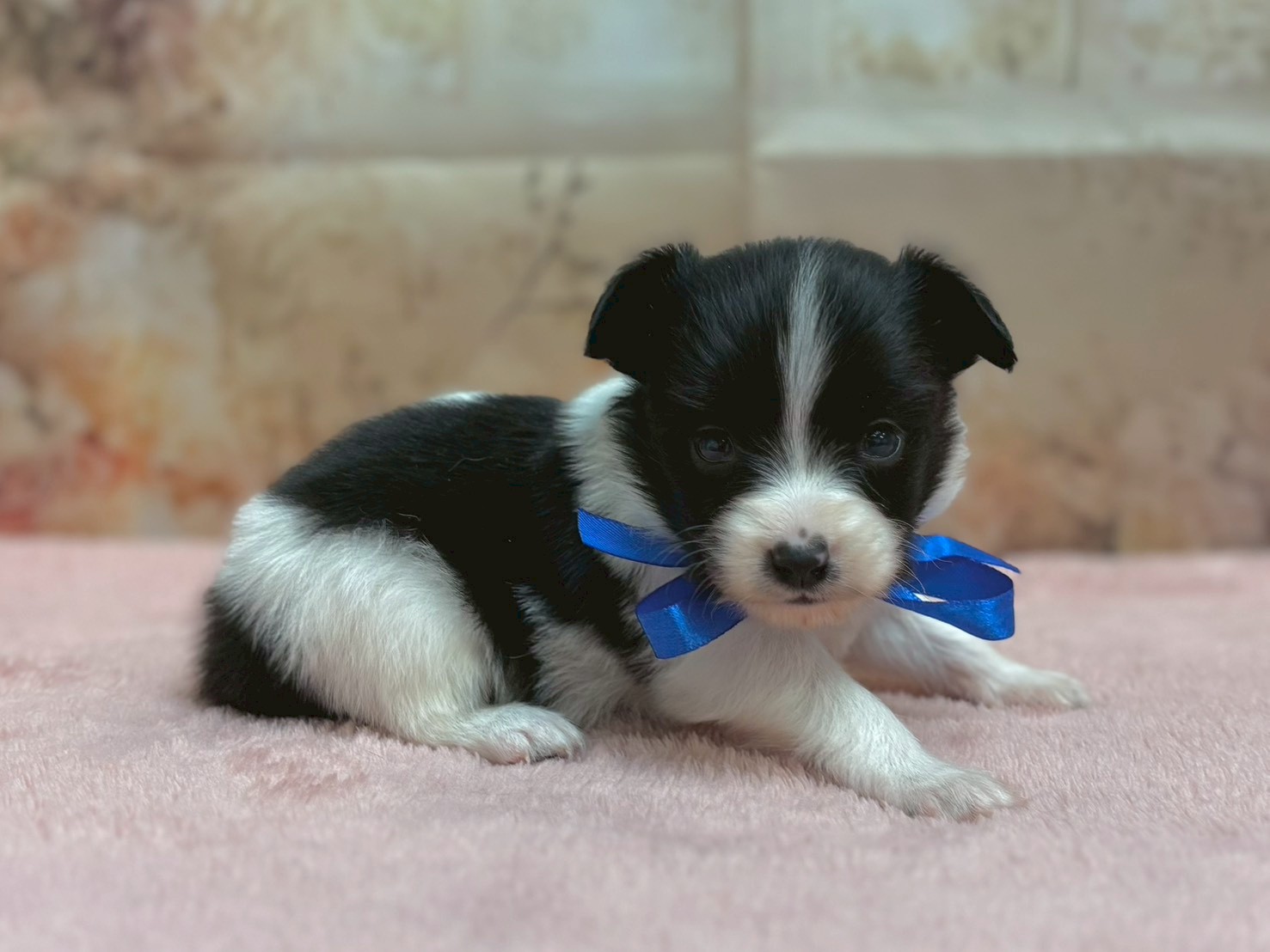 赤ちゃん写真2-2