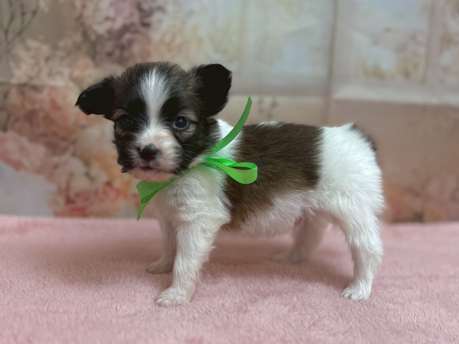 赤ちゃん写真2-2