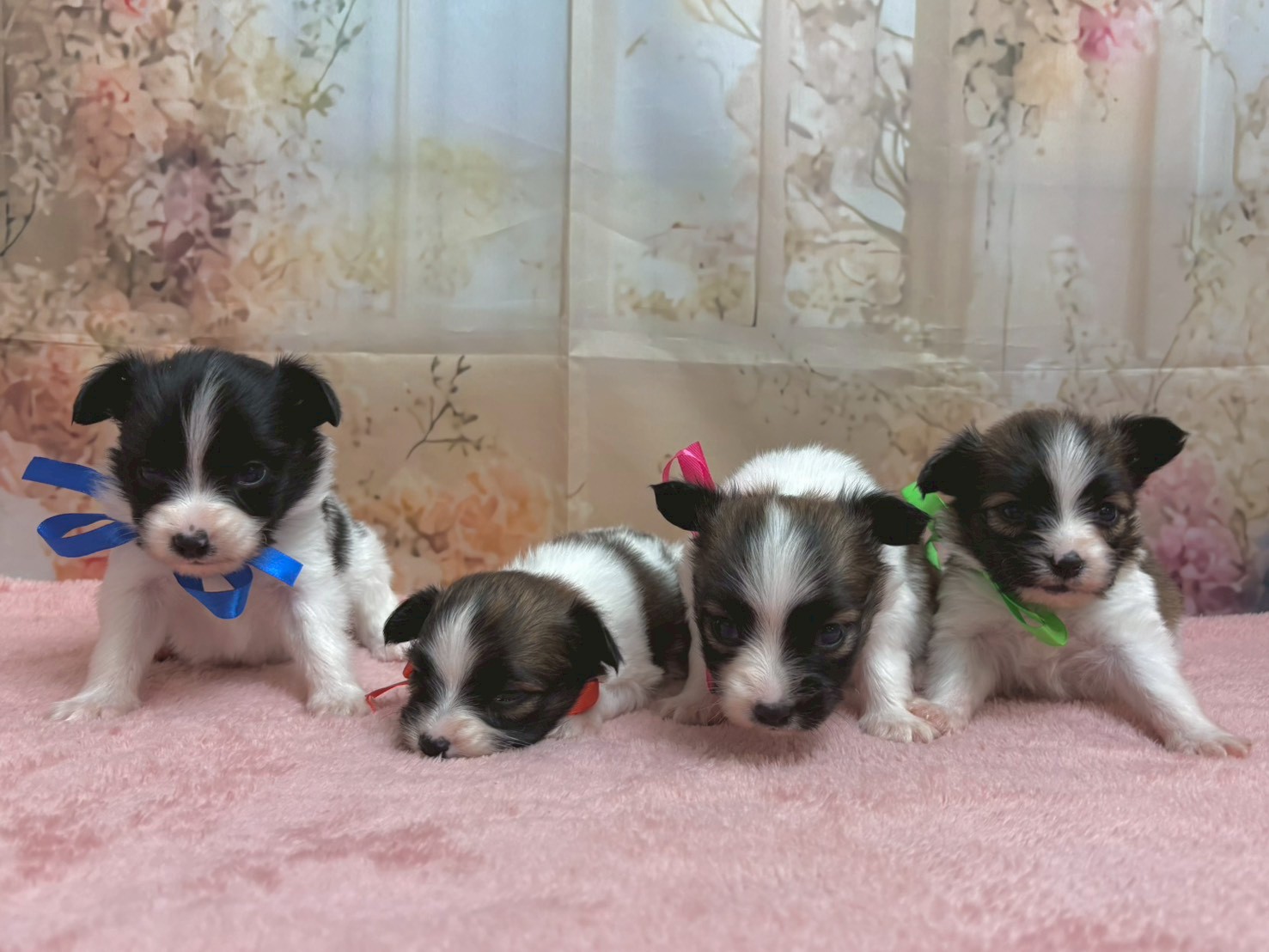 赤ちゃん写真2-3