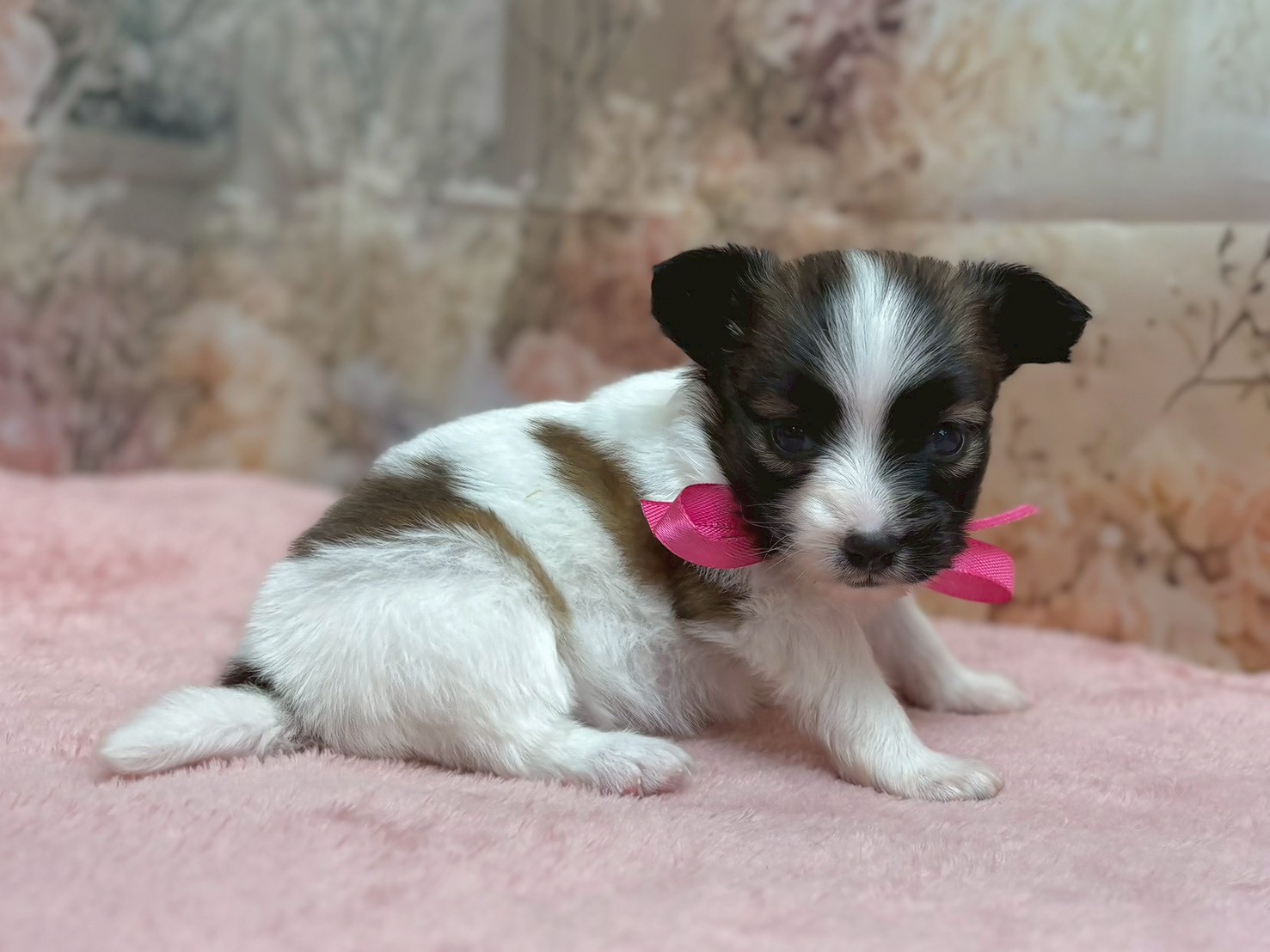 赤ちゃん写真2-2