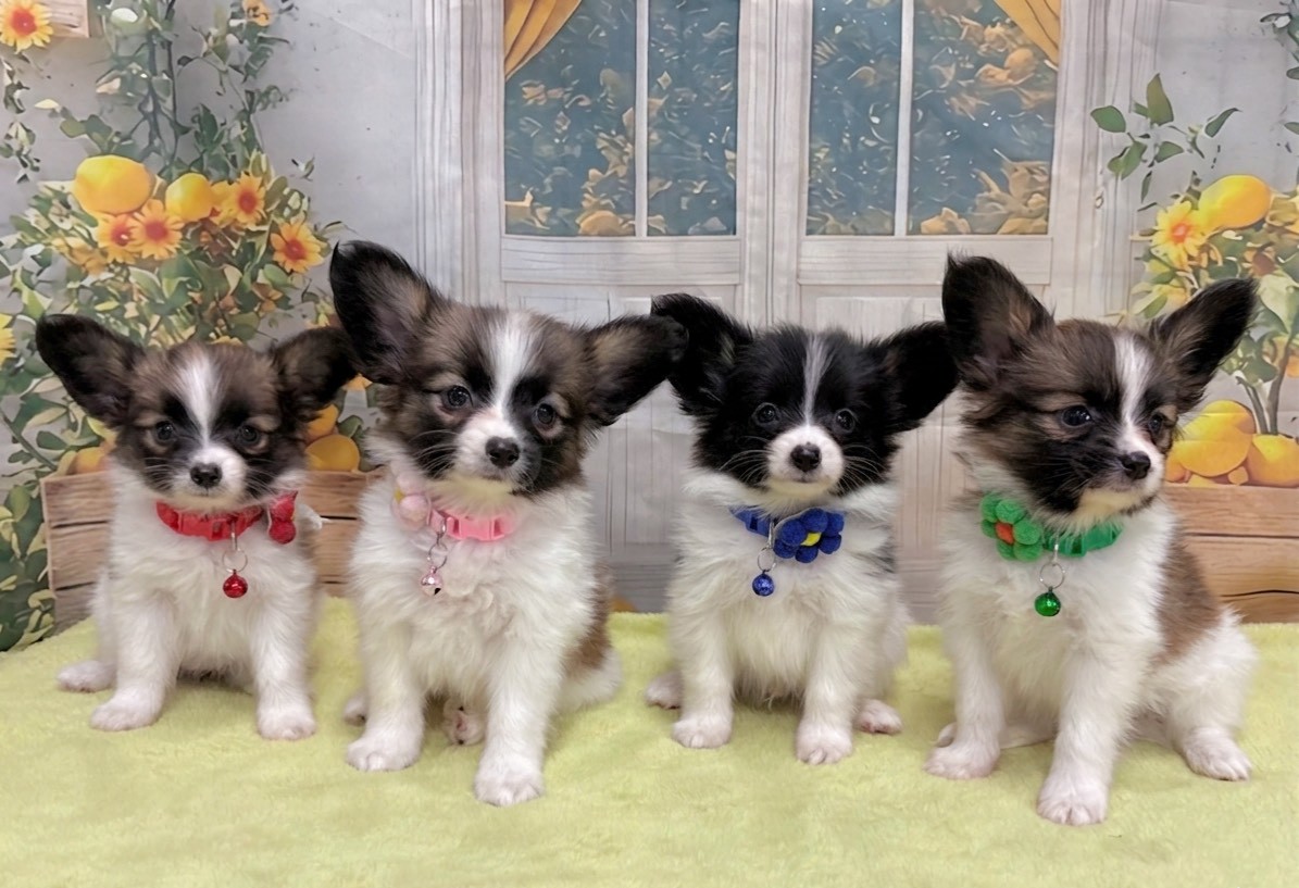 赤ちゃん写真3-3