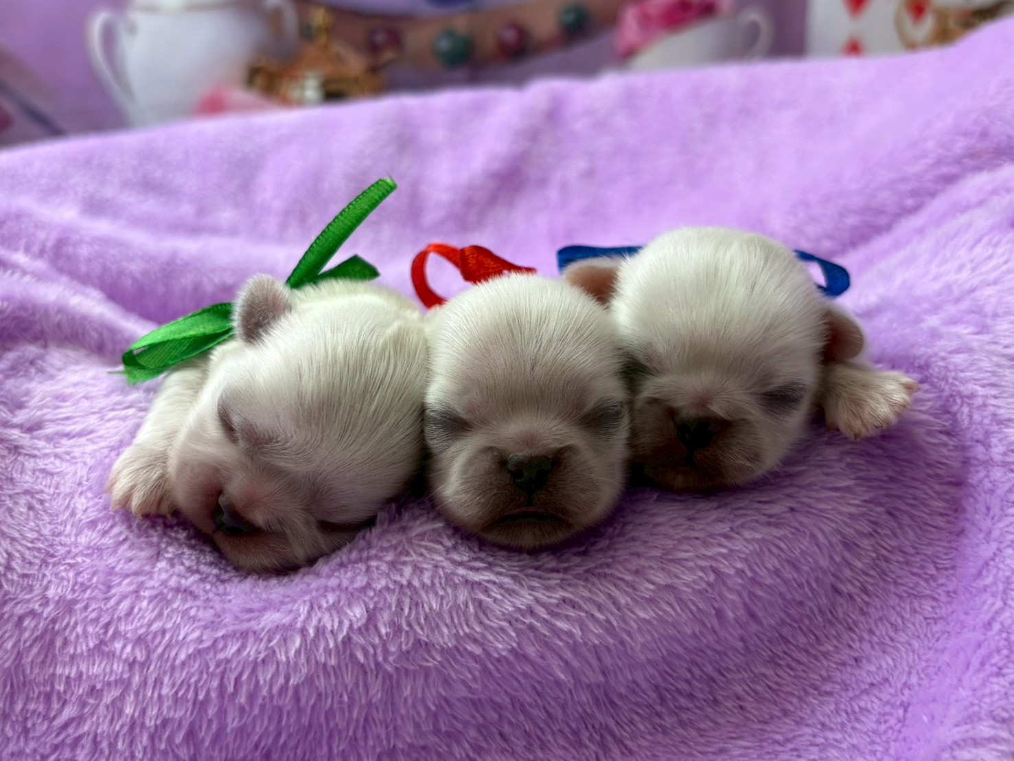 赤ちゃん写真1-3