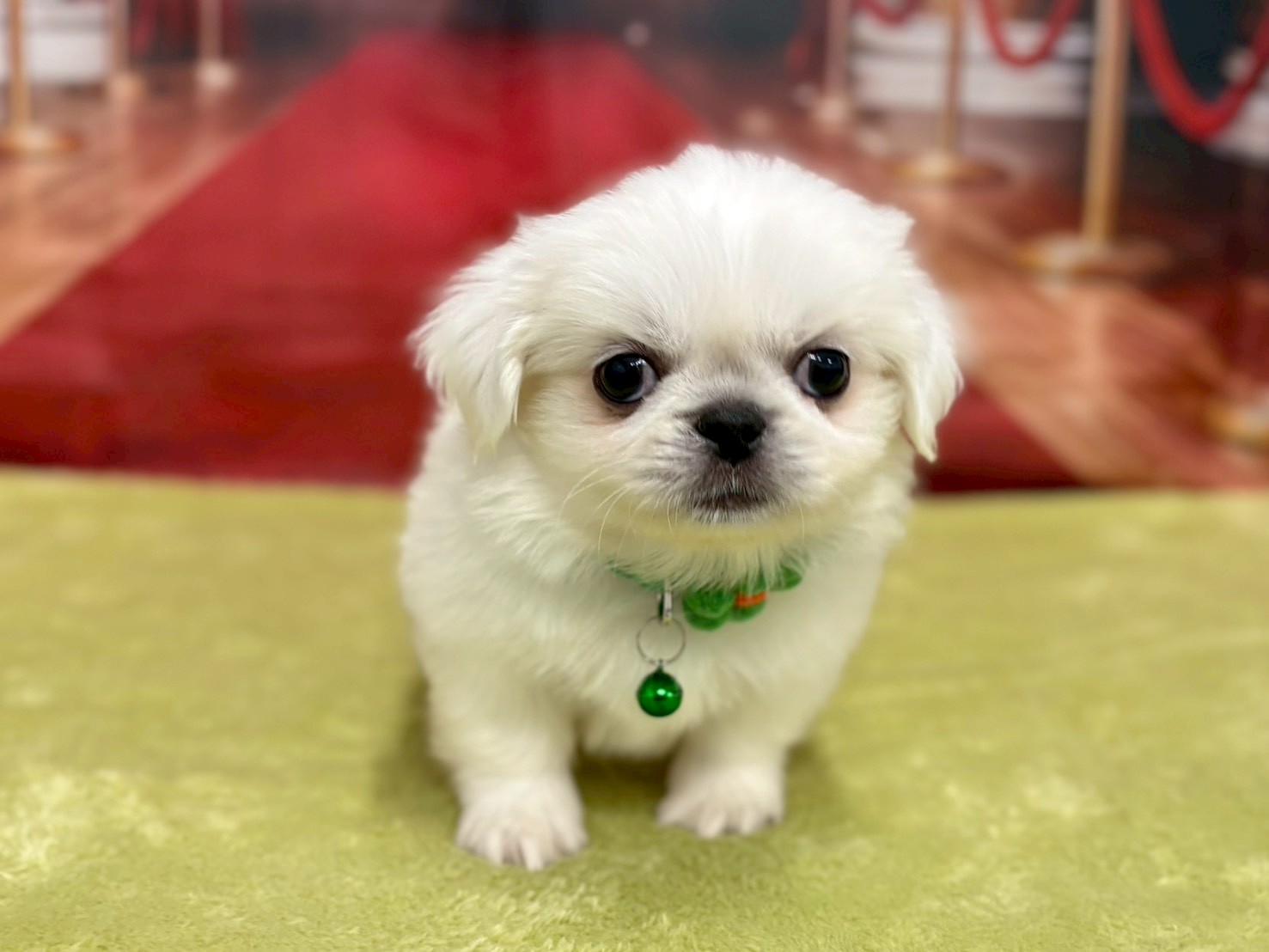 赤ちゃん写真3-1