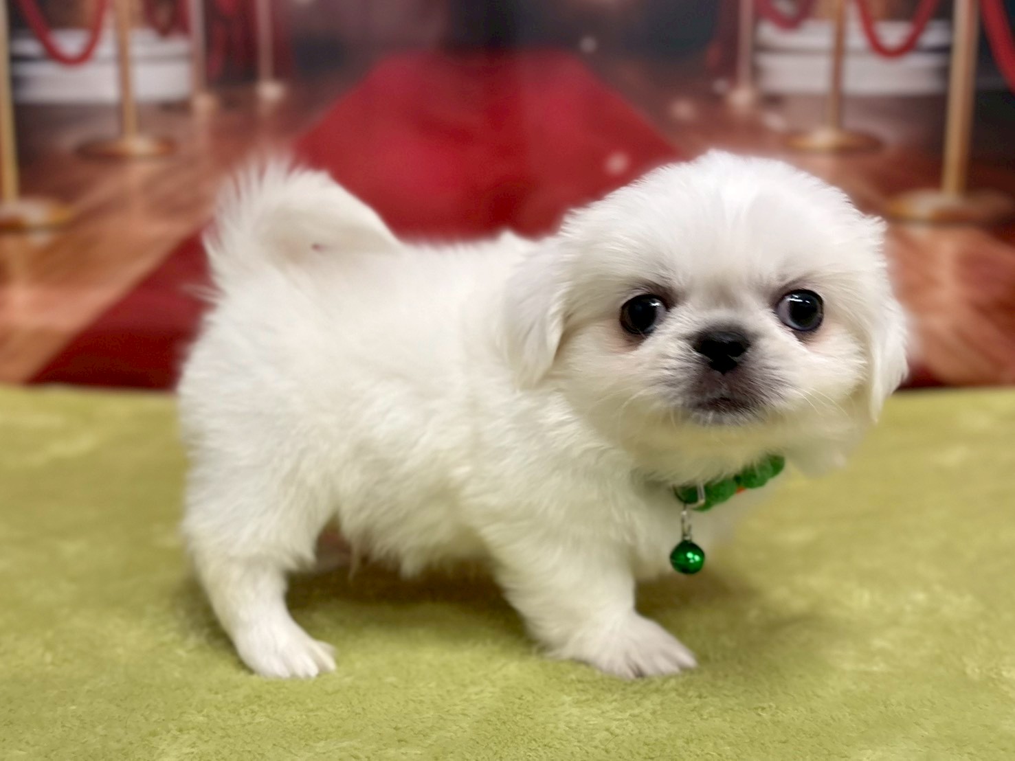 赤ちゃん写真3-2