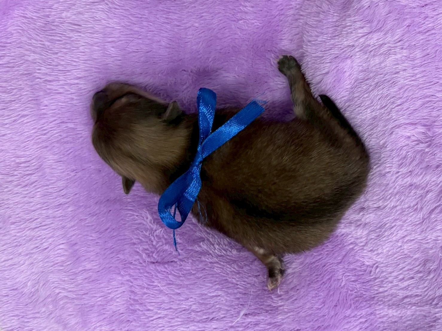 赤ちゃん写真1-3