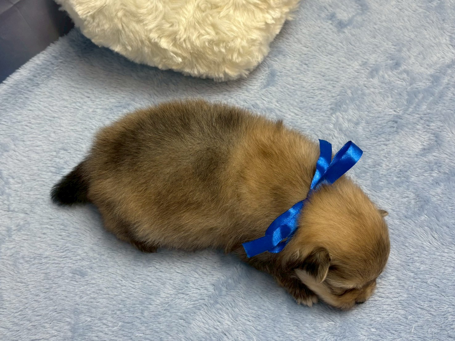 赤ちゃん写真2-3