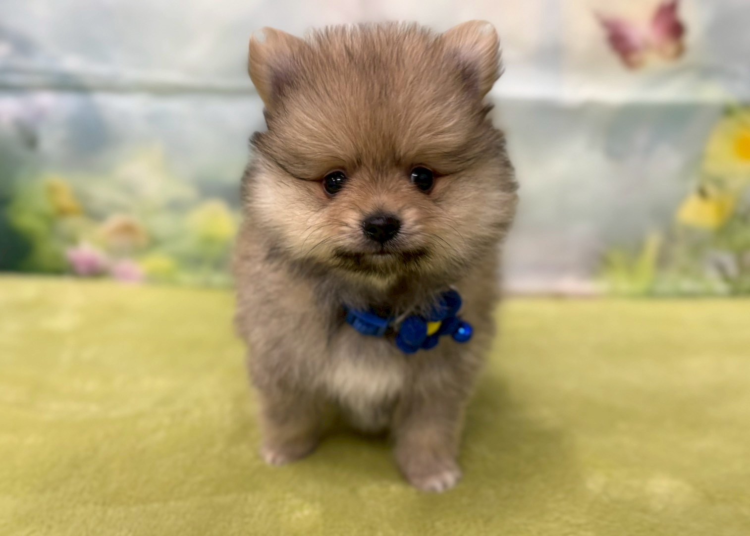 赤ちゃん写真3-1