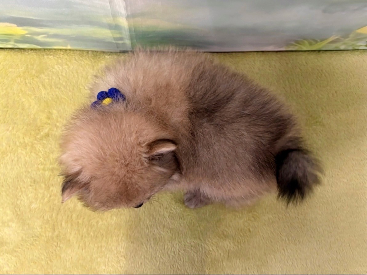 赤ちゃん写真3-3