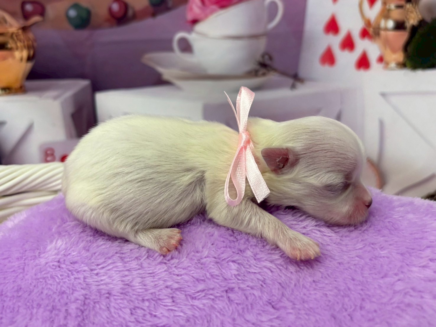 赤ちゃん写真1-2