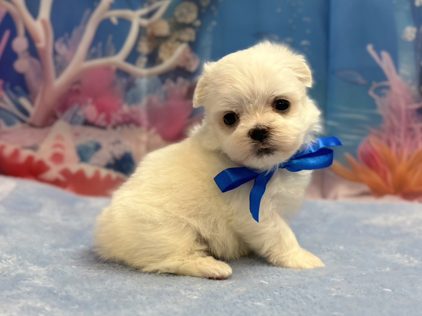 赤ちゃん写真1-2