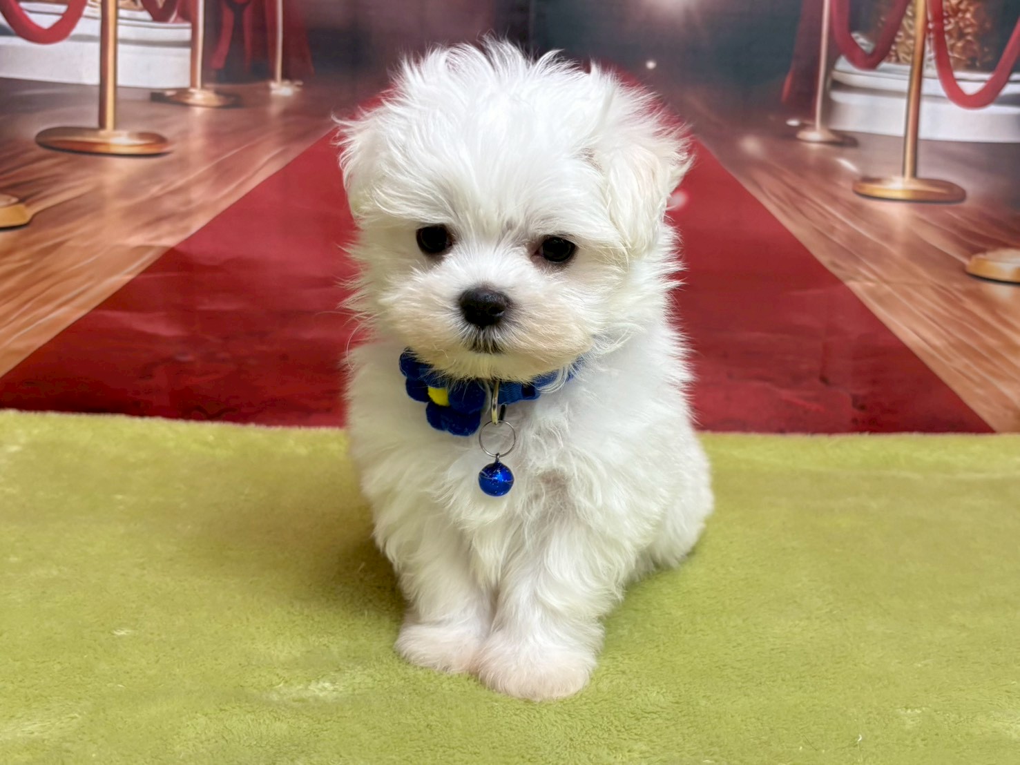 赤ちゃん写真2-1
