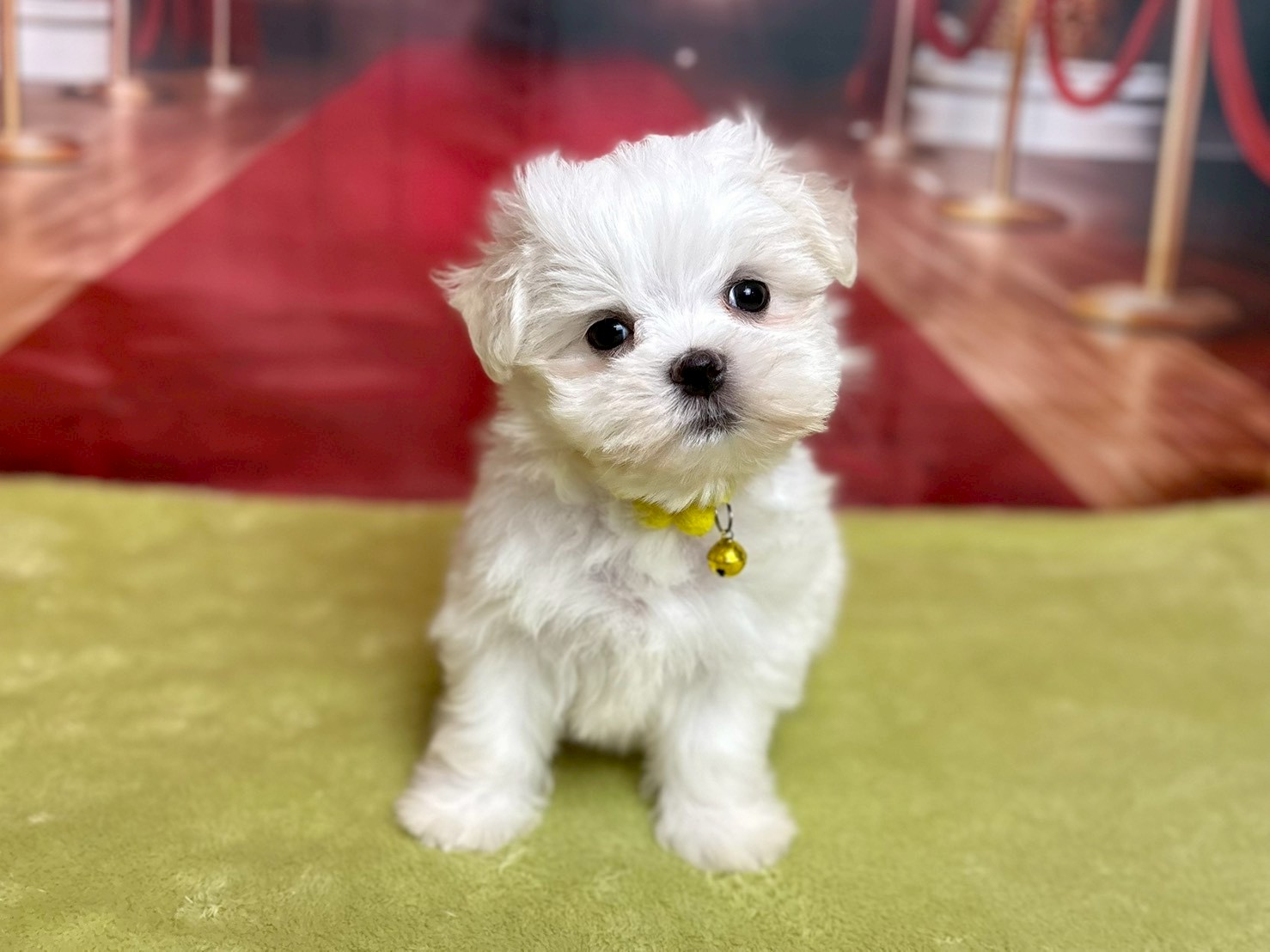 赤ちゃん写真3-1