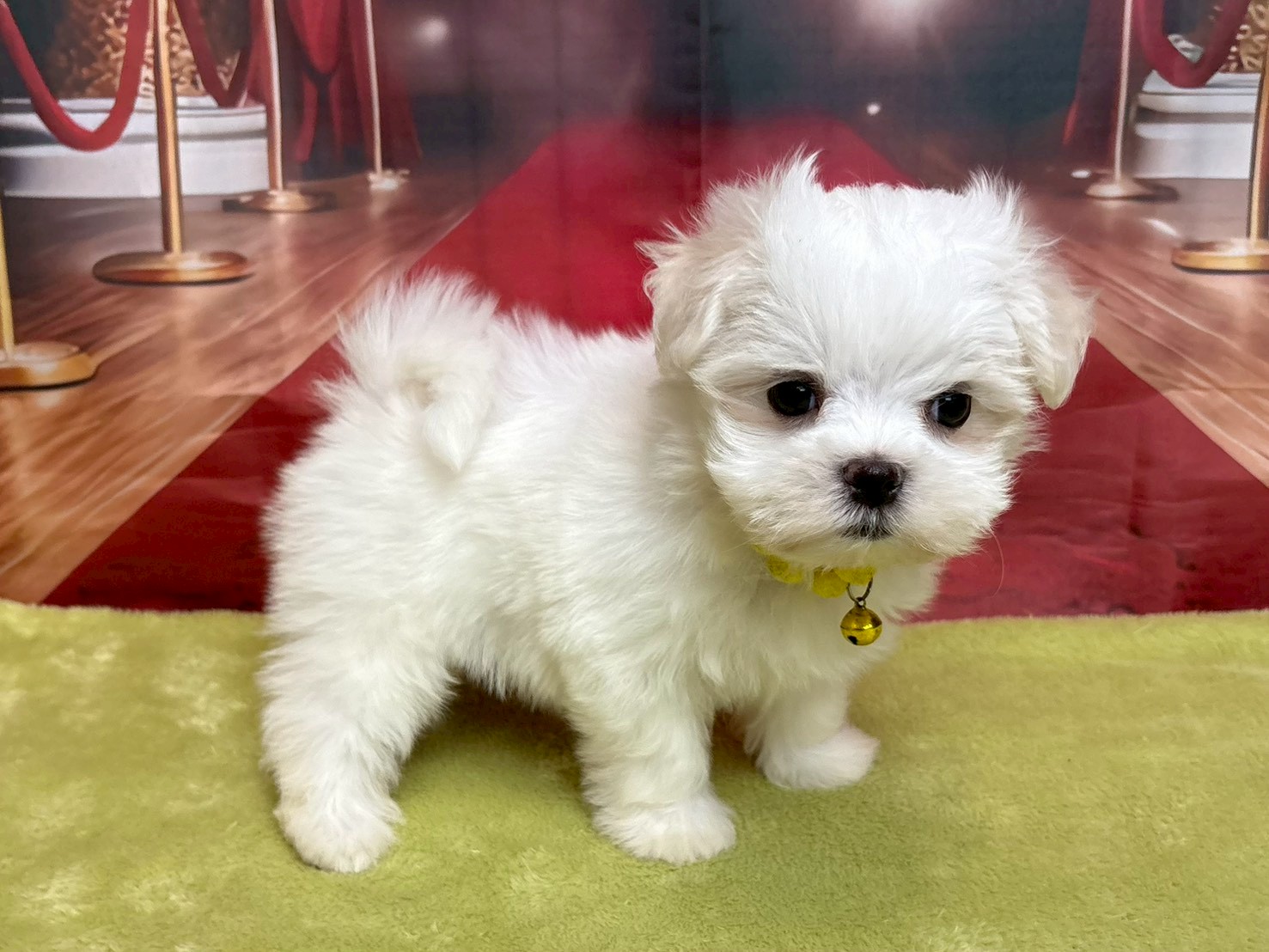 赤ちゃん写真3-2