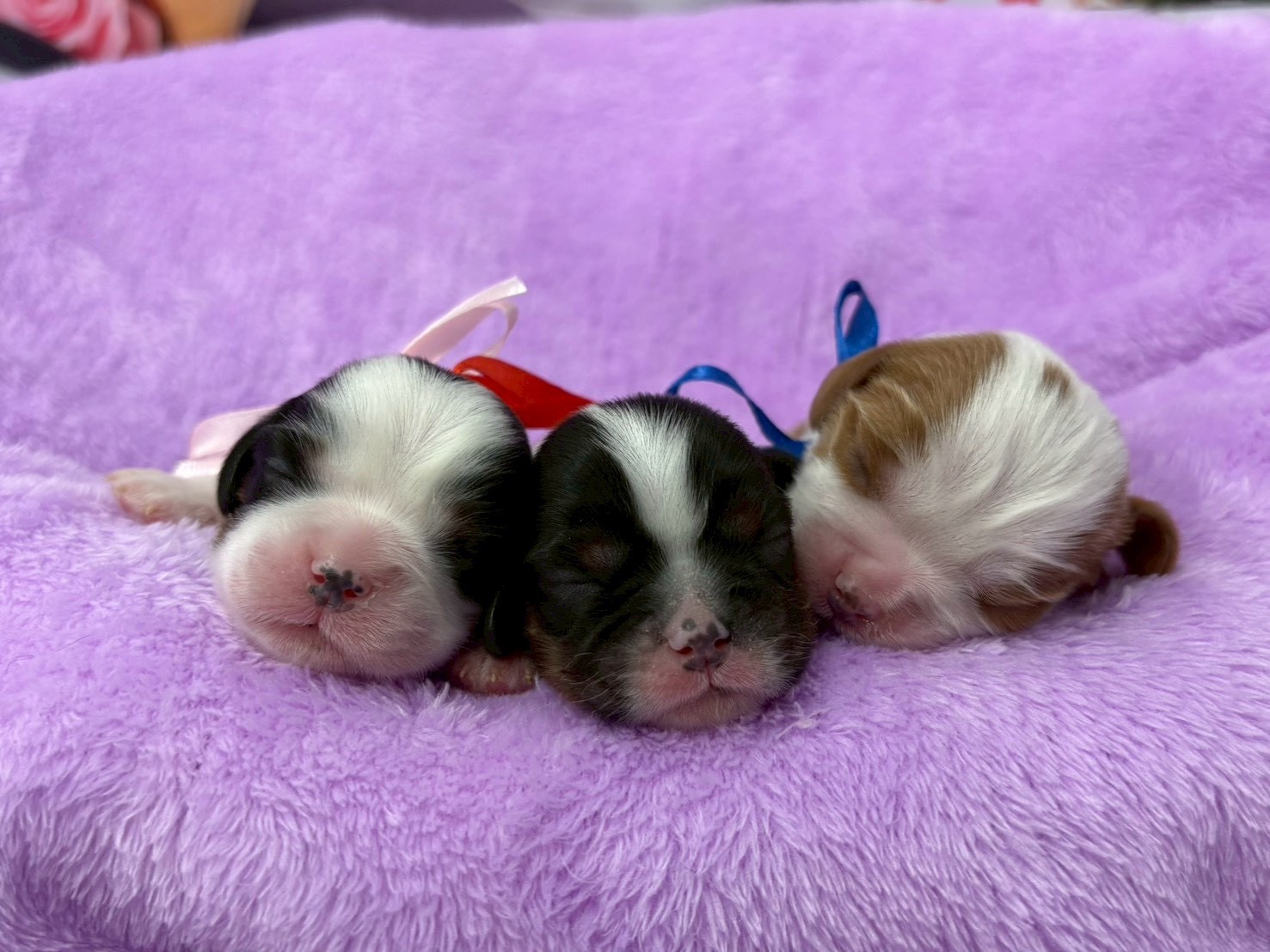赤ちゃん写真1-3