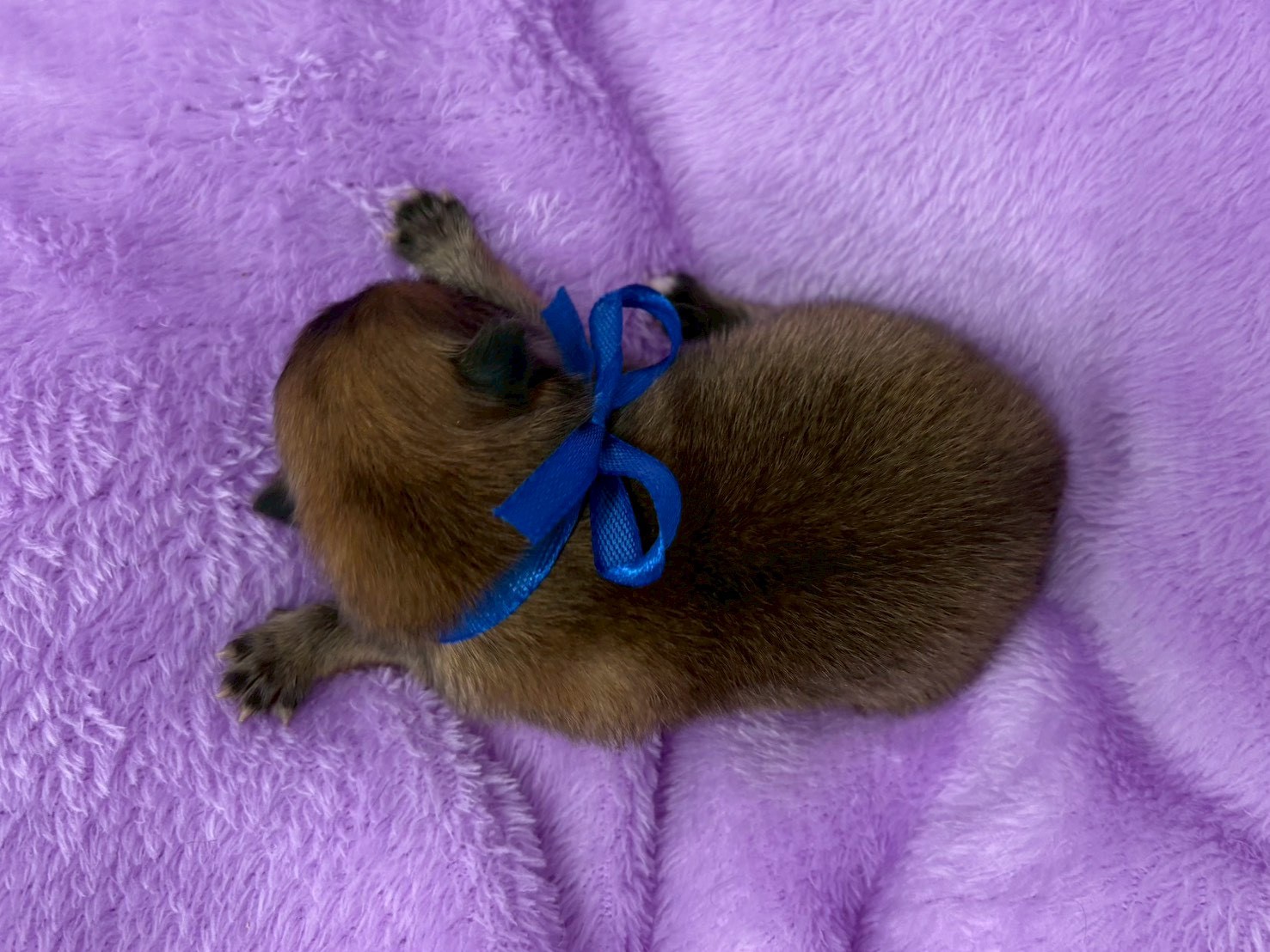 赤ちゃん写真1-3