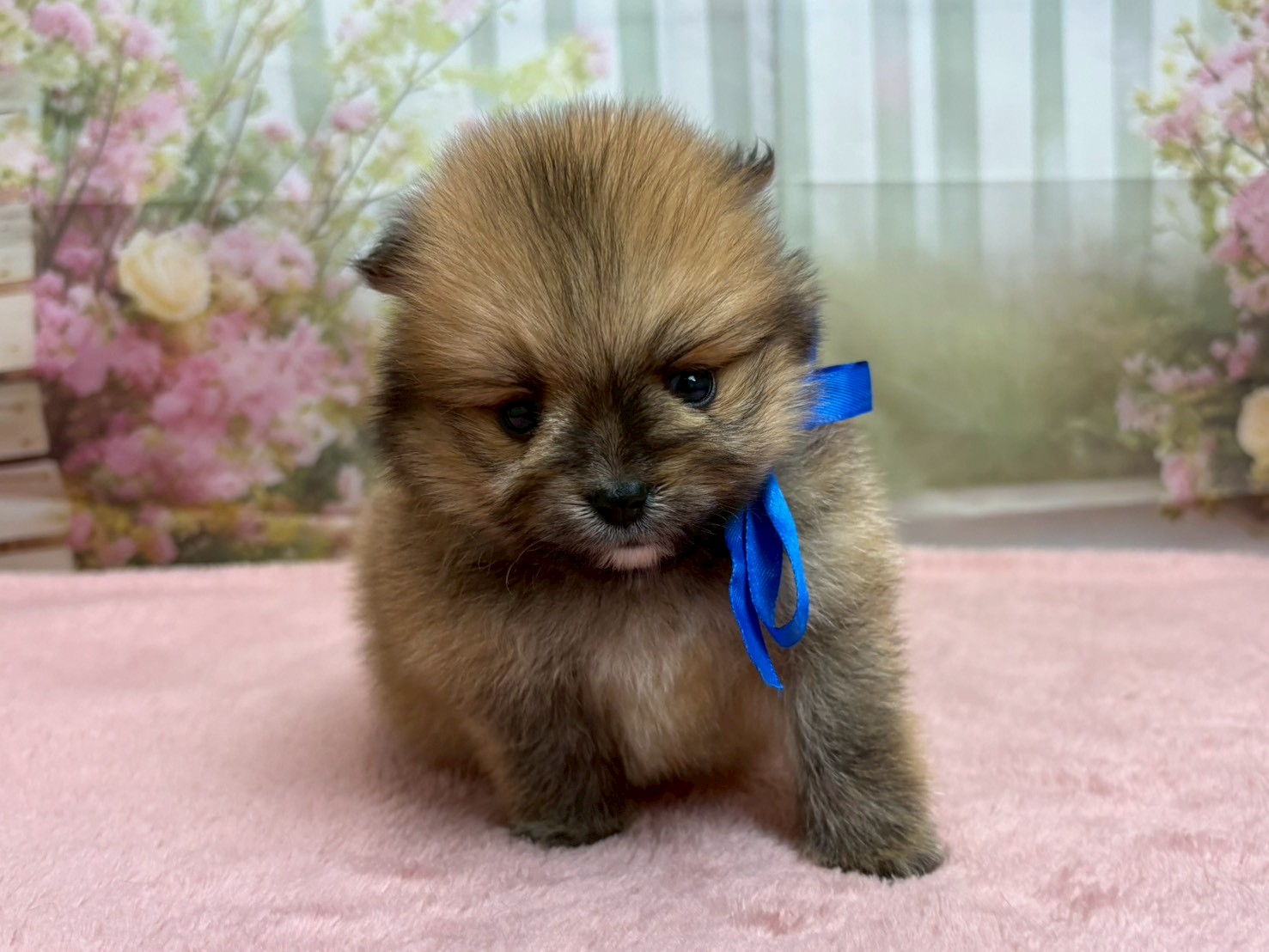 赤ちゃん写真2-1
