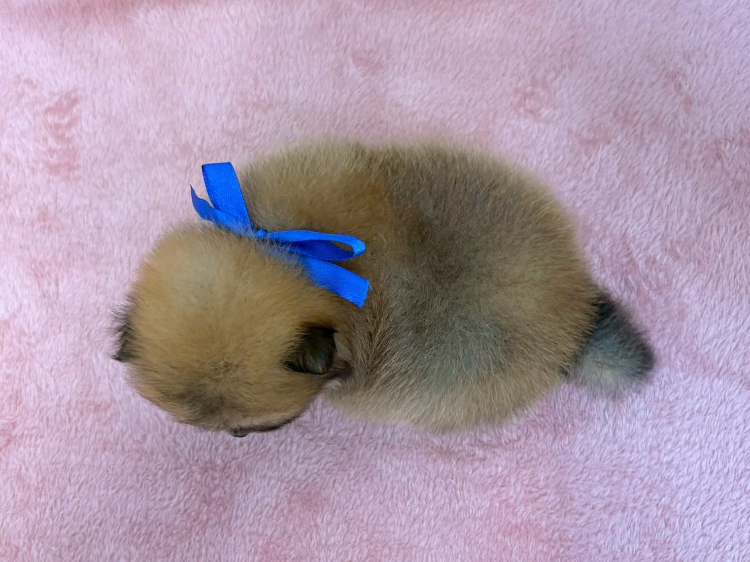 赤ちゃん写真2-3