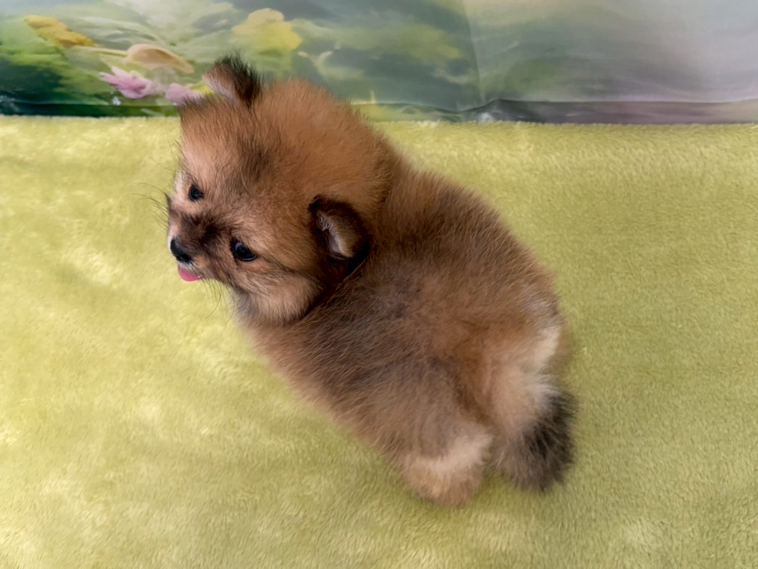 赤ちゃん写真3-3