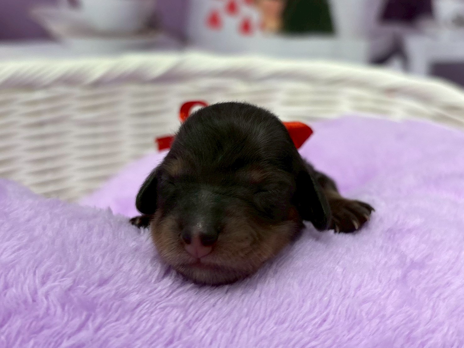 赤ちゃん写真1-1