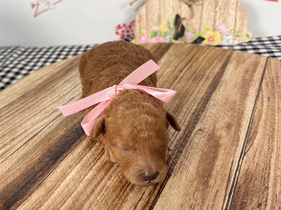 赤ちゃん写真1-1