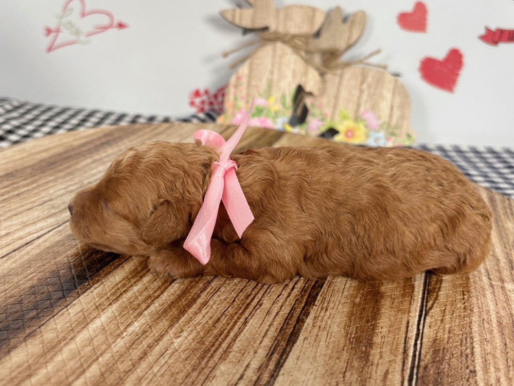赤ちゃん写真1-2