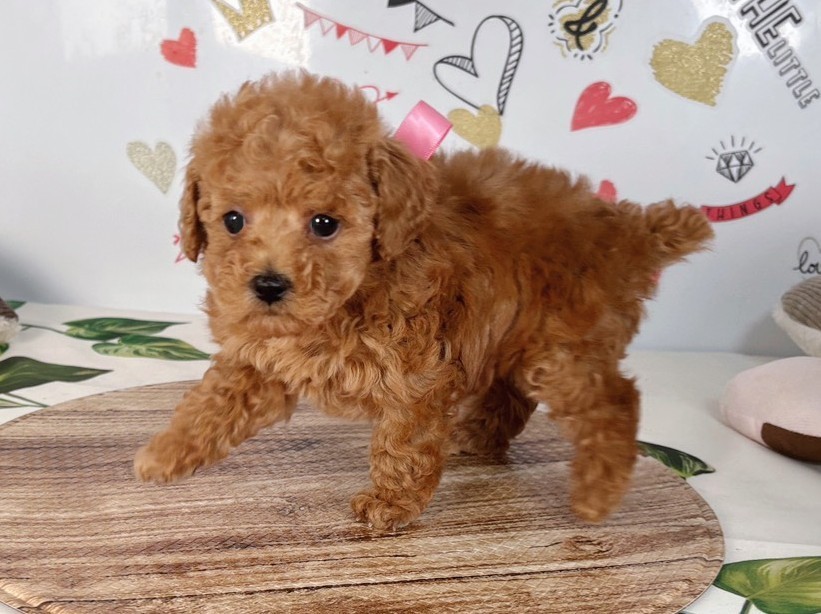 赤ちゃん写真2-2