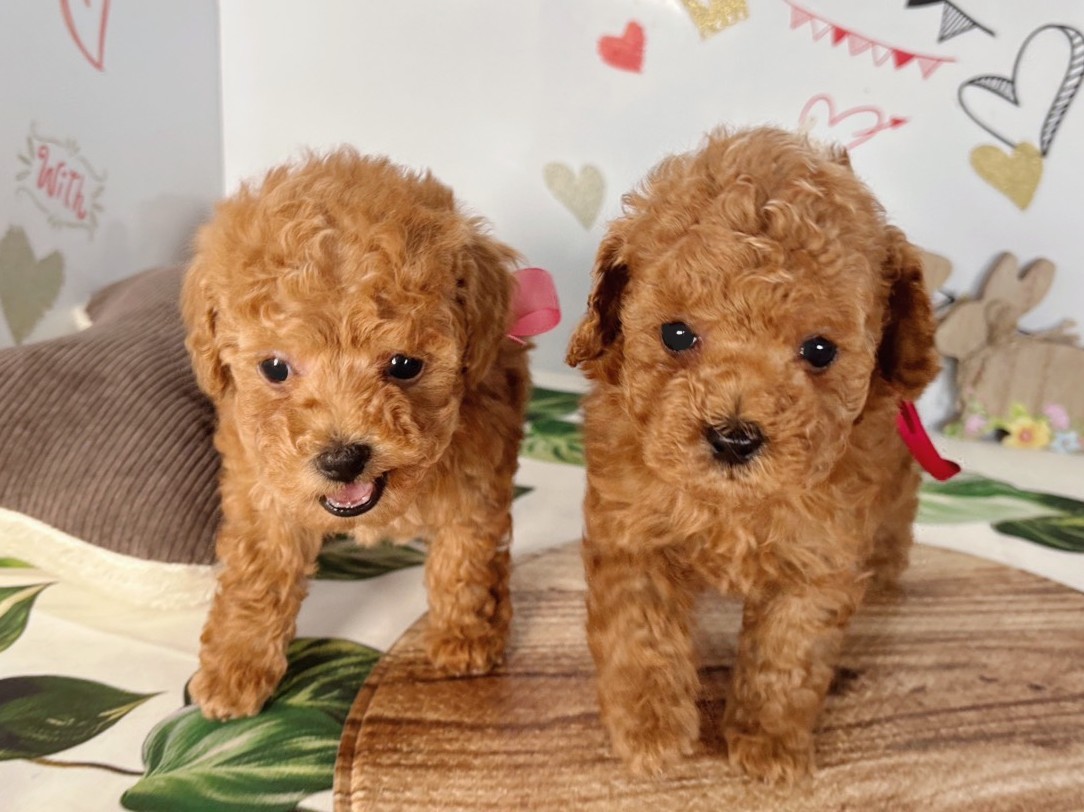 赤ちゃん写真2-3