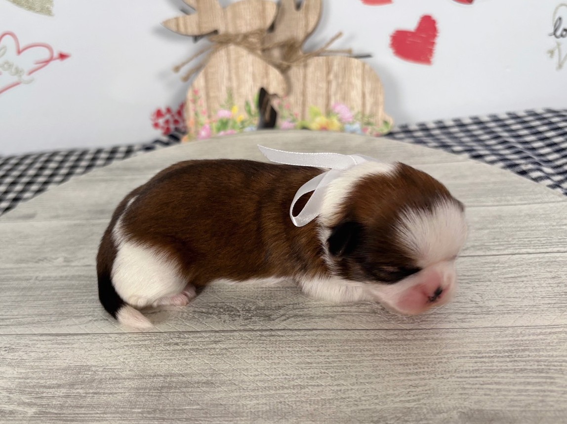 赤ちゃん写真1-2