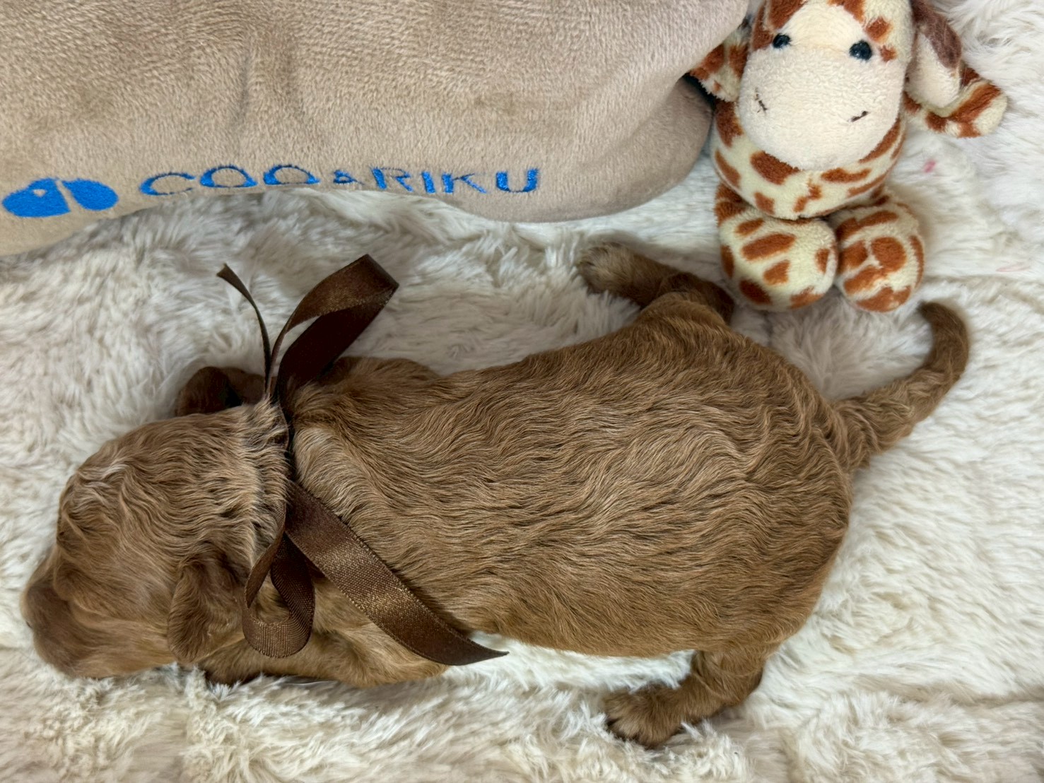 赤ちゃん写真1-3