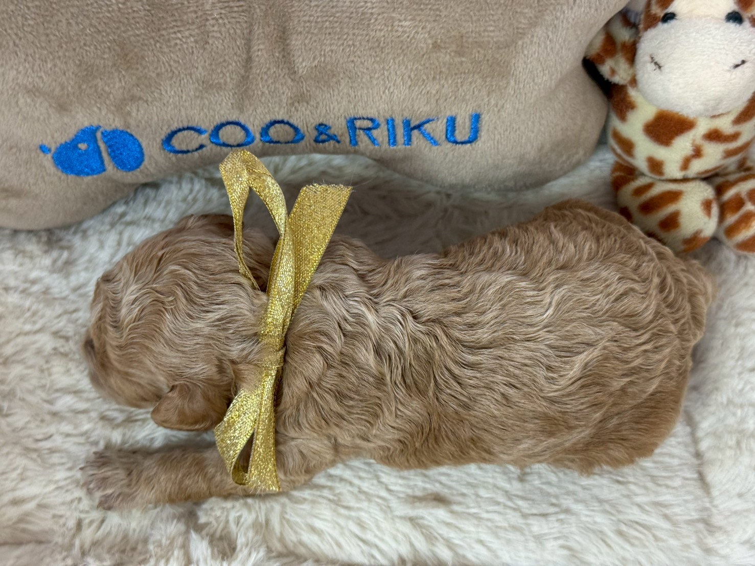 赤ちゃん写真1-3