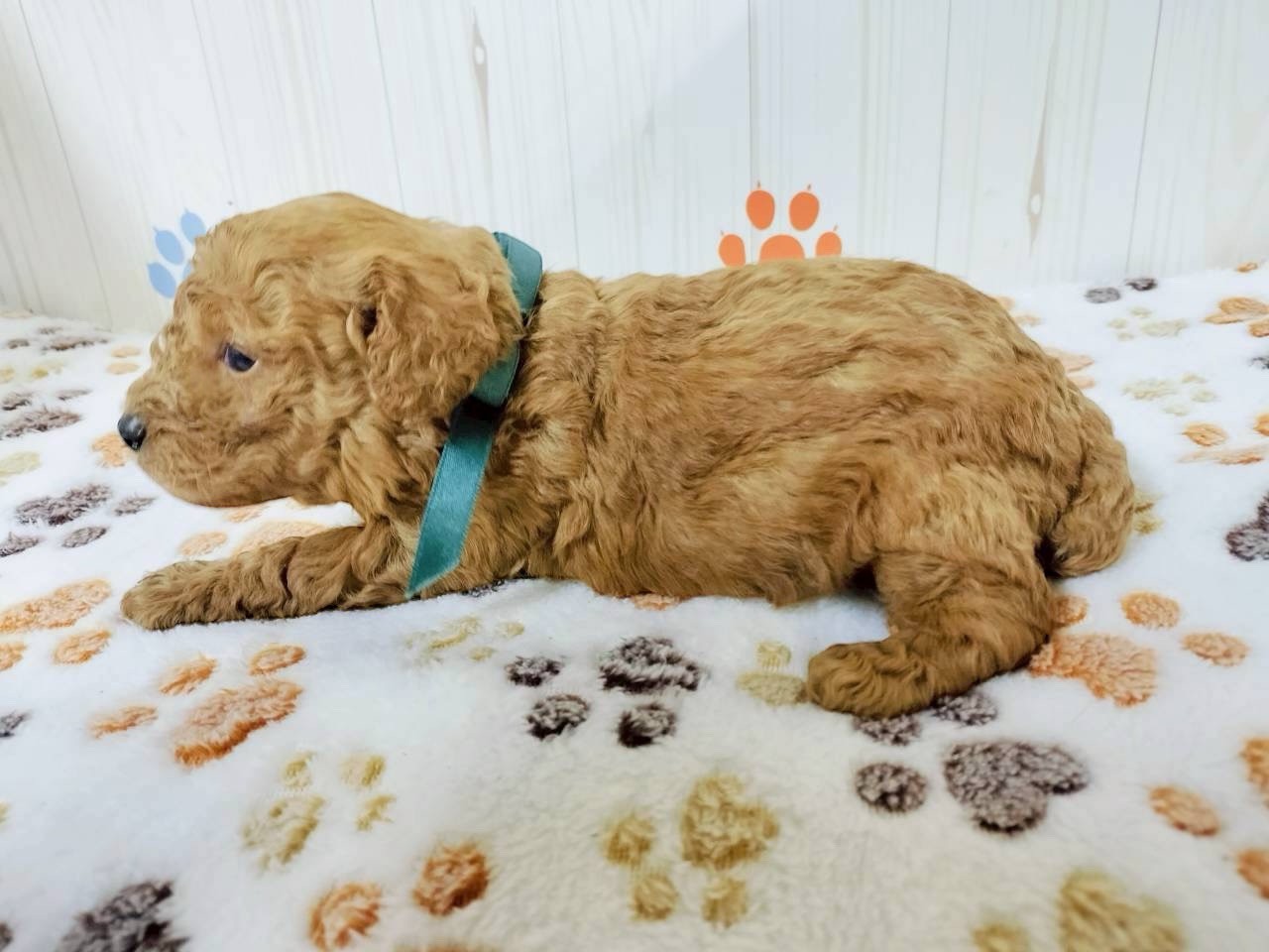 赤ちゃん写真2-2