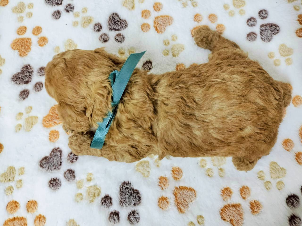 赤ちゃん写真2-3