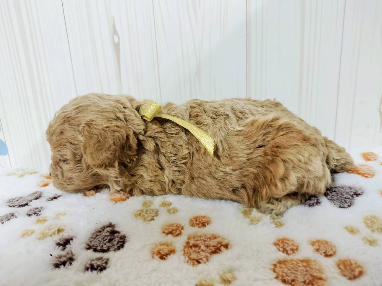 赤ちゃん写真2-2