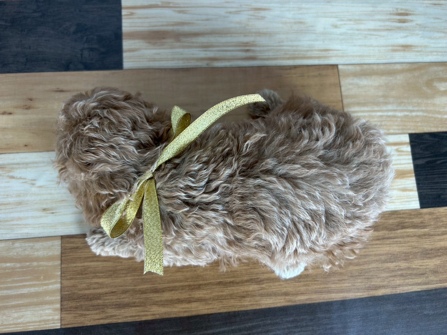 赤ちゃん写真3-3
