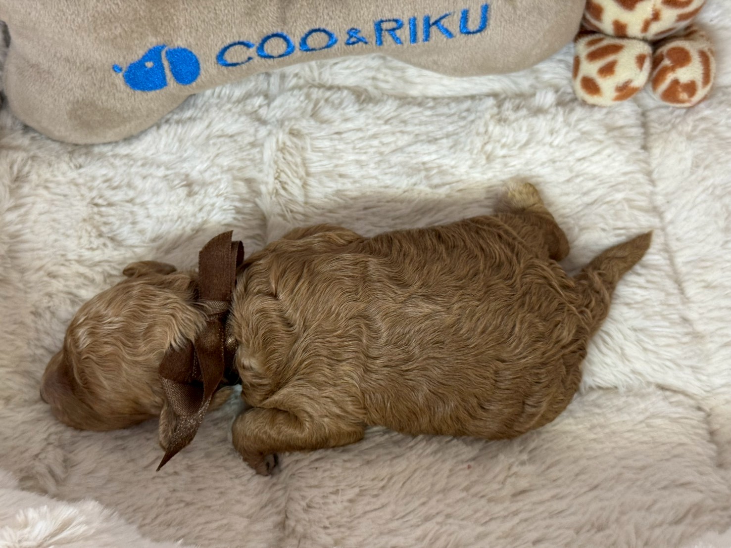 赤ちゃん写真1-3