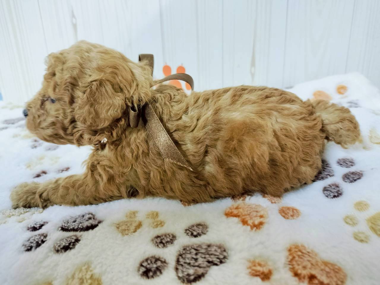 赤ちゃん写真2-2