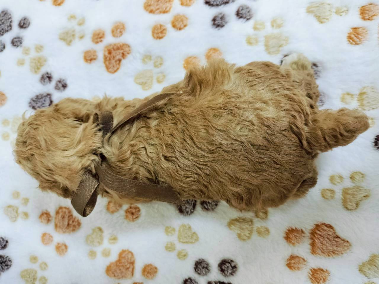 赤ちゃん写真2-3