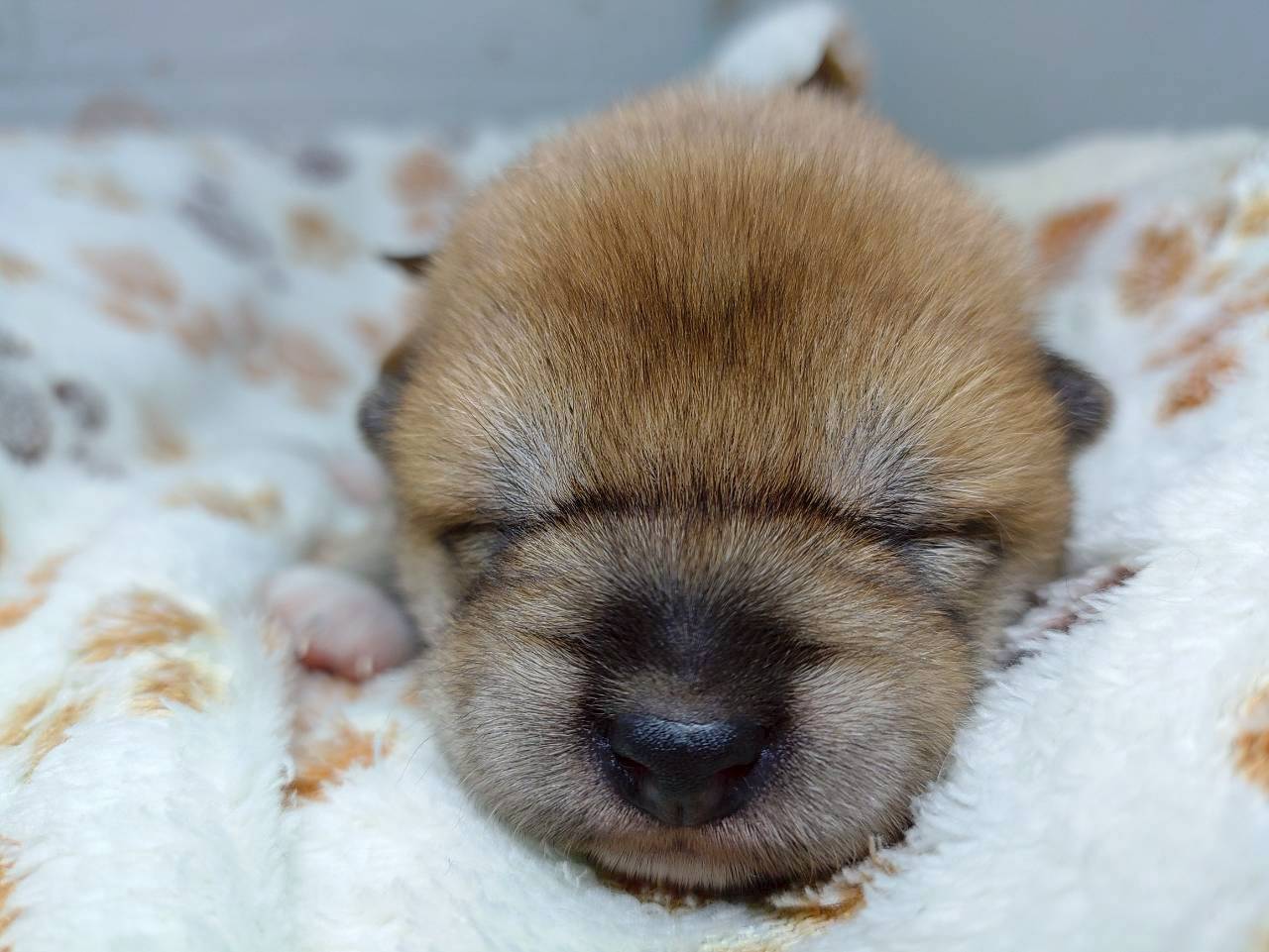 赤ちゃん写真1-1