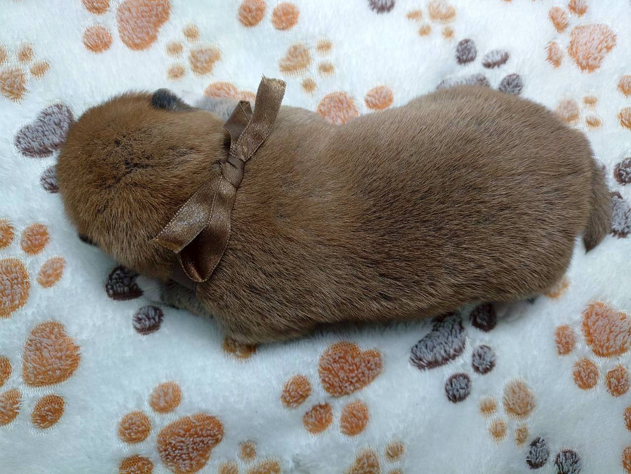 赤ちゃん写真1-3