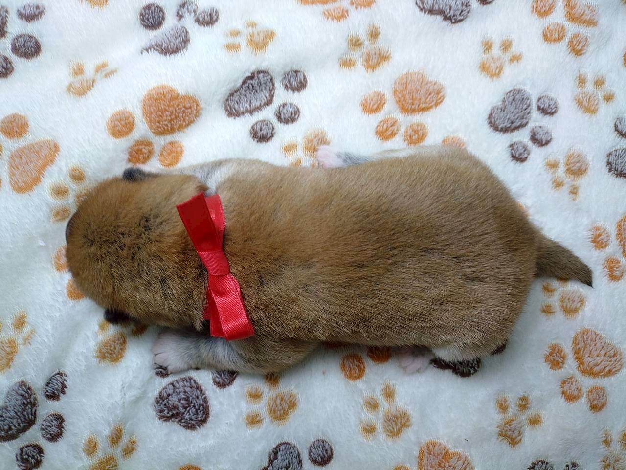 赤ちゃん写真1-3