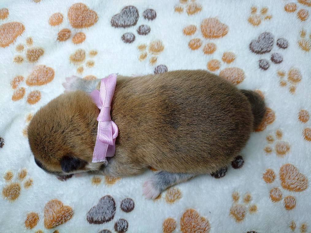 赤ちゃん写真1-3