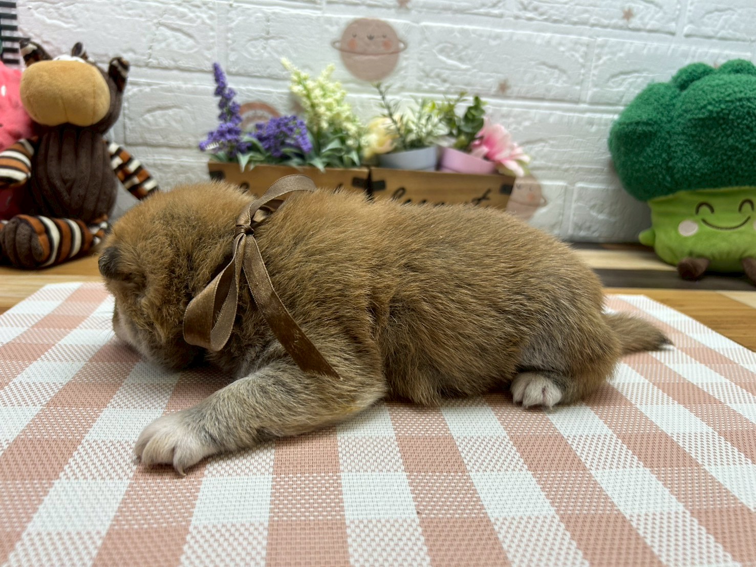赤ちゃん写真2-2
