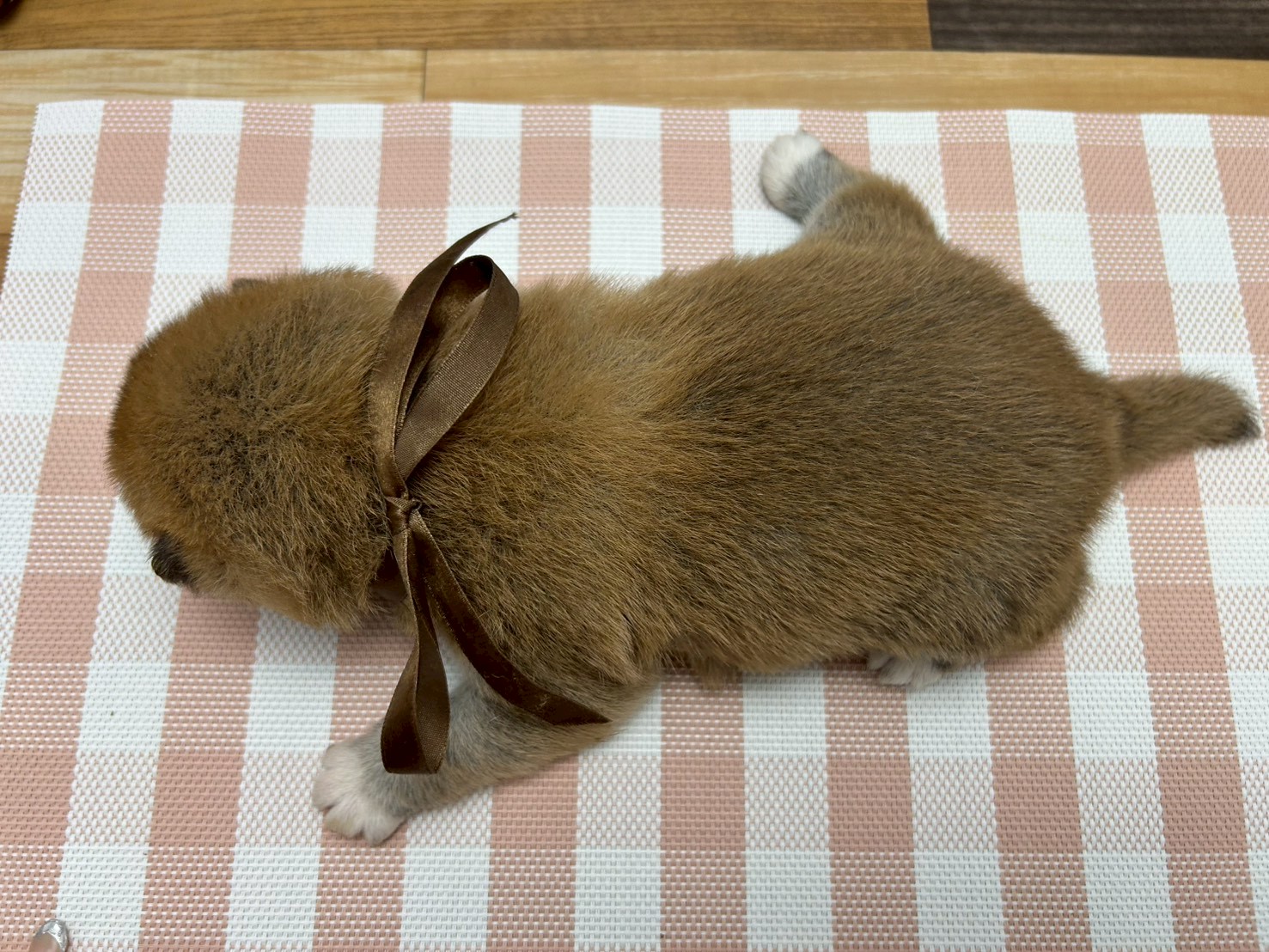 赤ちゃん写真2-3