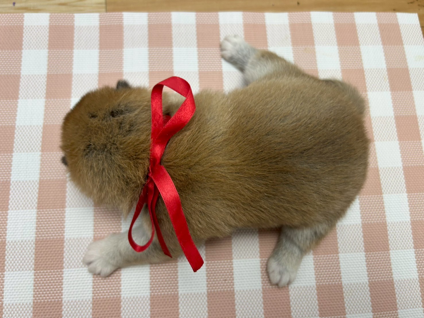 赤ちゃん写真2-3