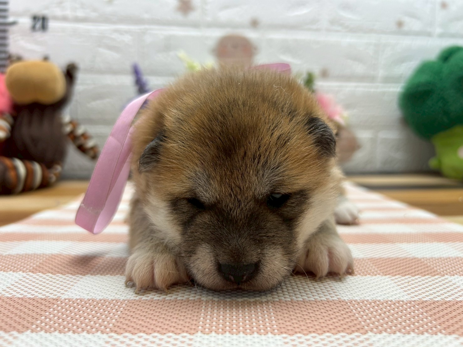 赤ちゃん写真2-1