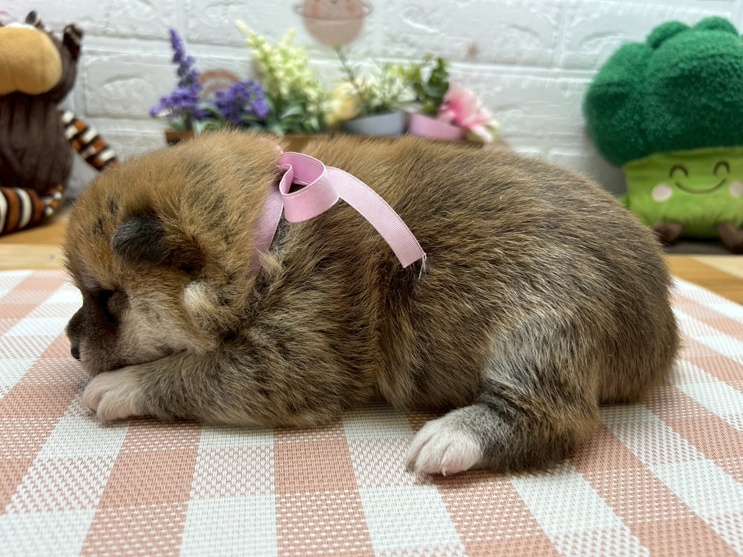 赤ちゃん写真2-2