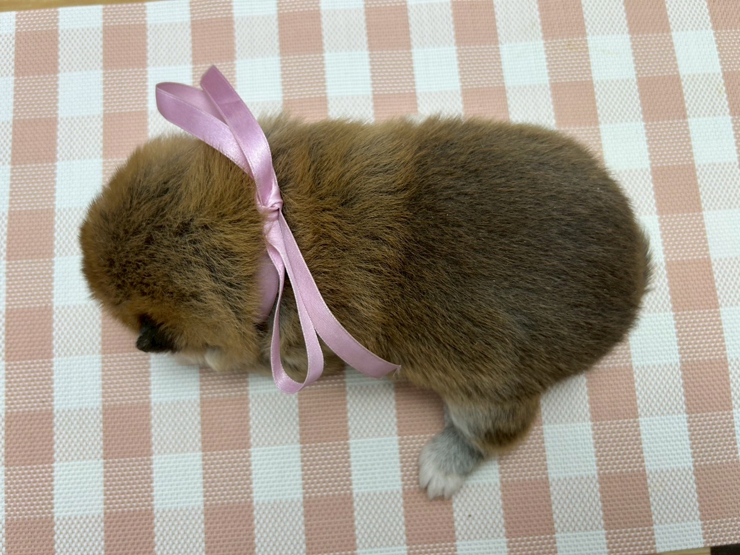 赤ちゃん写真2-3