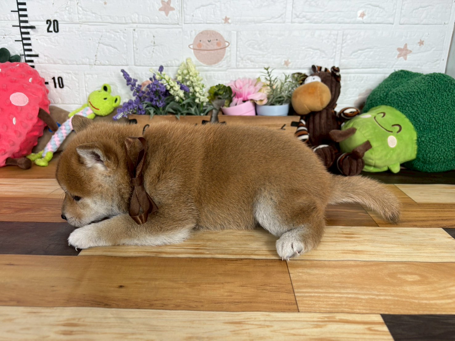 赤ちゃん写真3-2