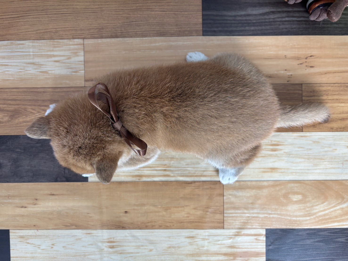 赤ちゃん写真3-3